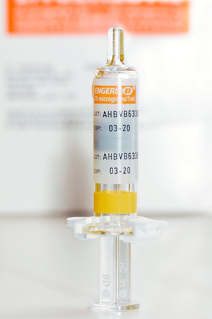 Engerix vaccine for Hepatitis B