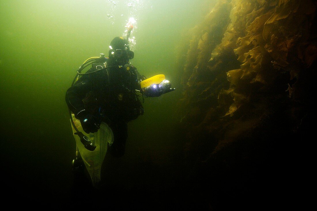 Diver with video submarine