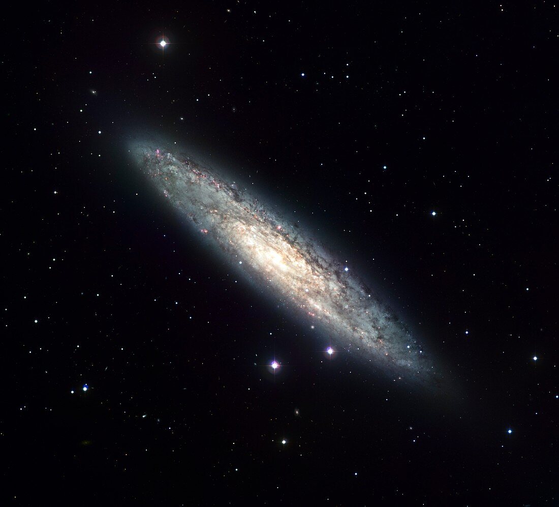 Sculptor galaxy (NGC 253)