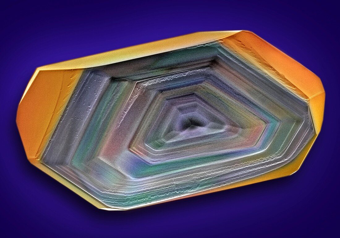 Erythritol crystal,SEM