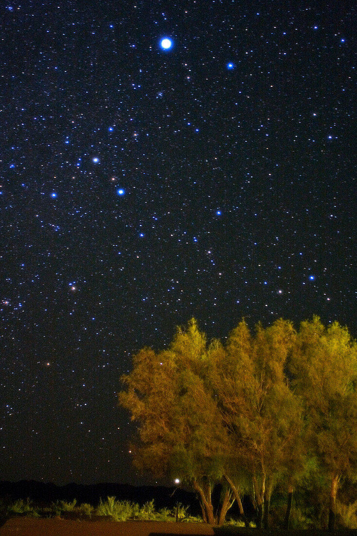 Sirius and Canopus