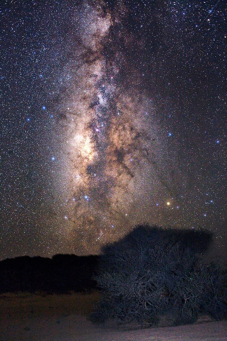Milky Way in Scorpius and Sagittarius