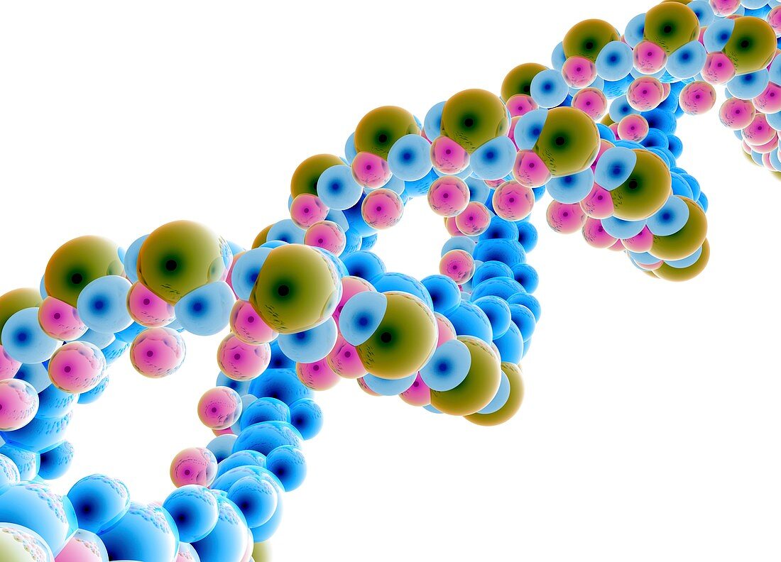 DNA