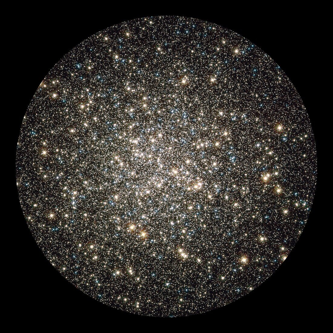 Globular cluster M13,HST image