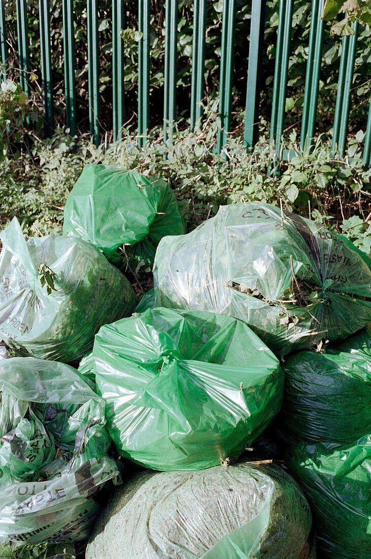Green refuse waiting collection