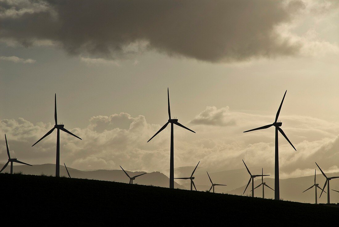 Wind turbines,California,USA