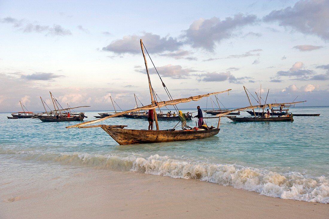 Traditional dhows,Zanzibar