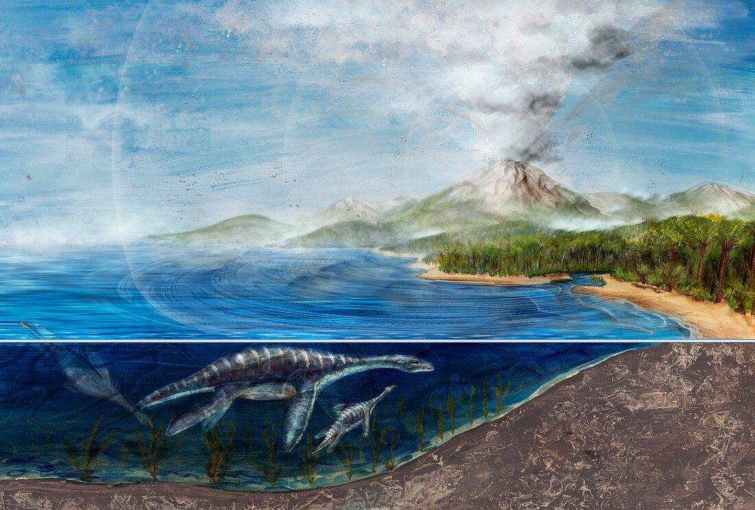 Plesiosaurs and erupting volcano,artwork
