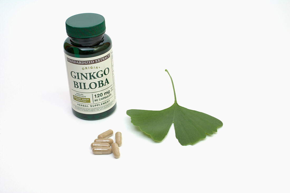 Ginkgo biloba leaf and extract capsules