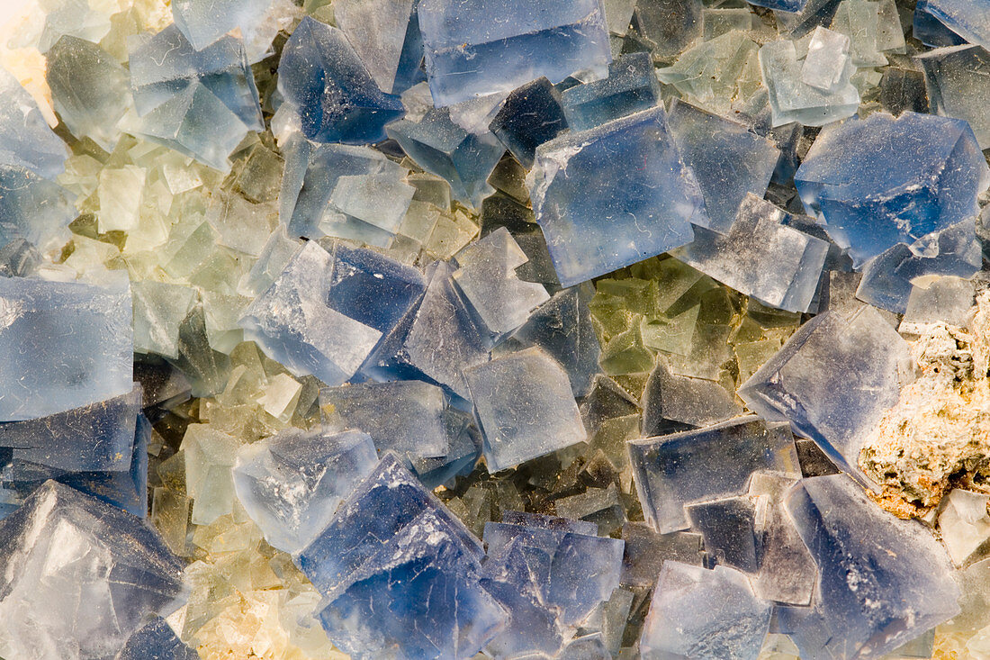 Fluorite crystals,New Mexico