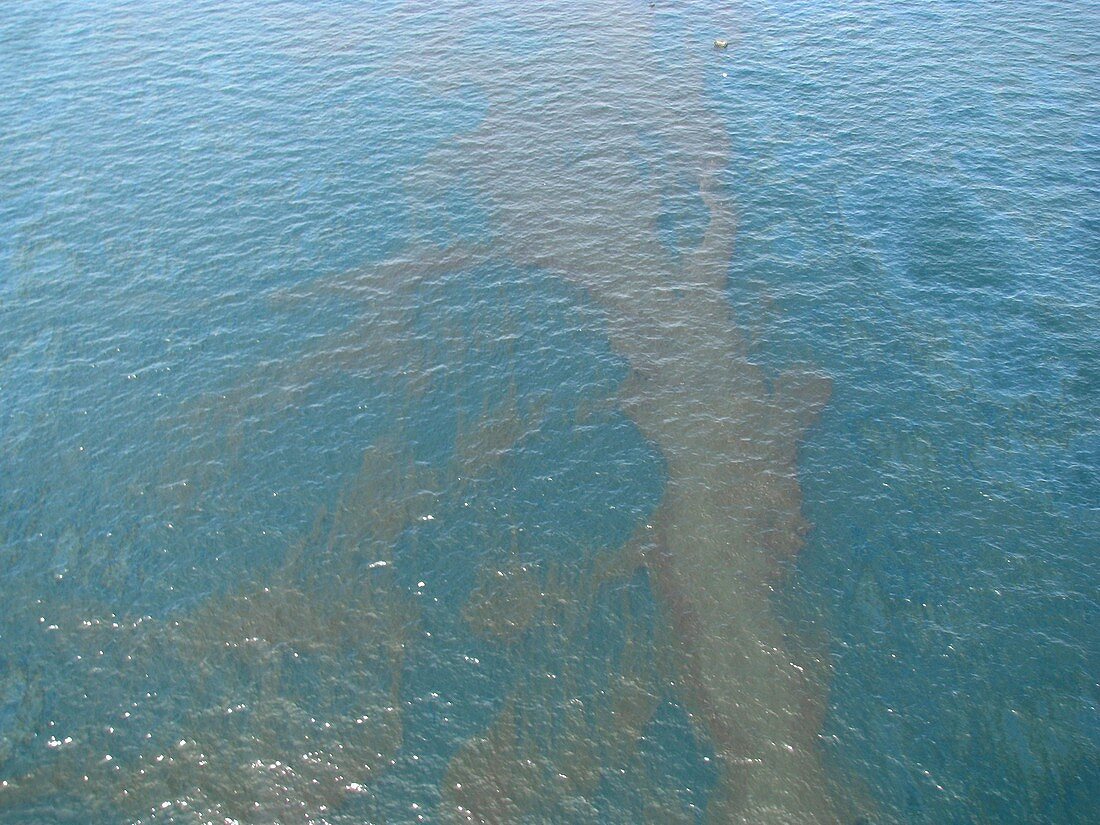 Gulf of Mexico oil spill,2010