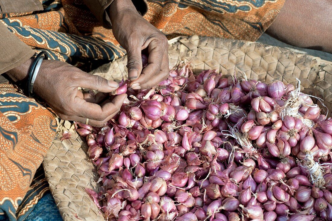 Onion seller,Timor-Leste