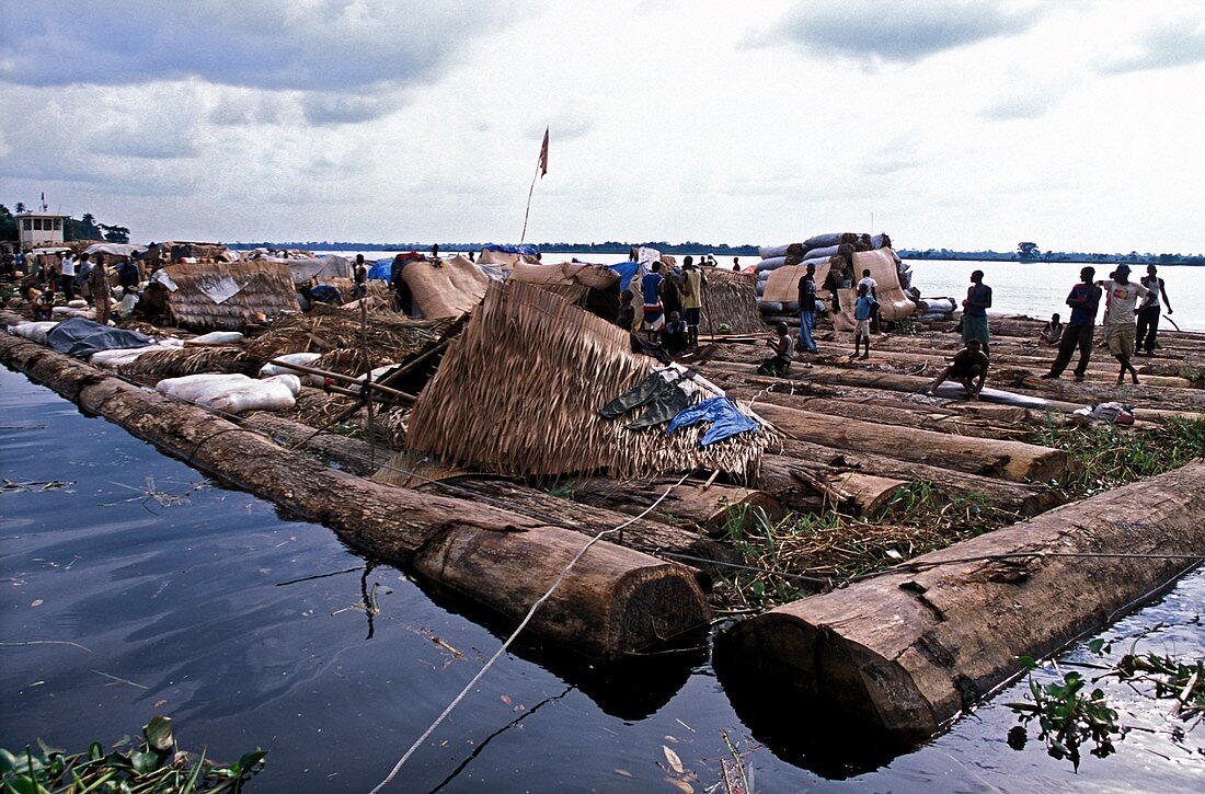Congo logging raft
