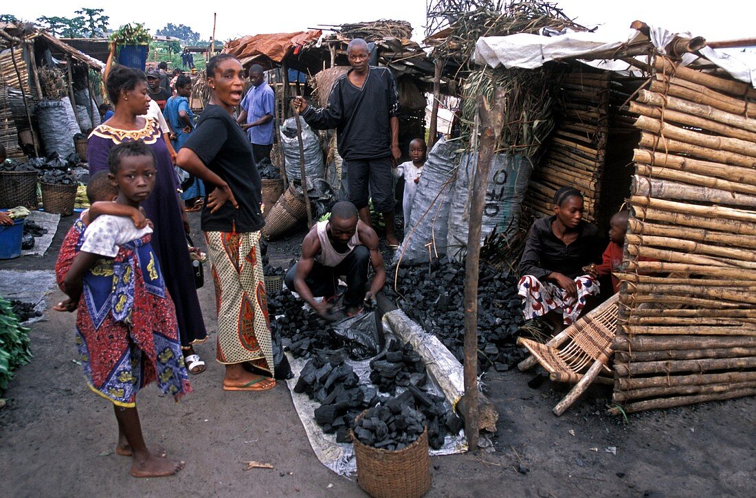 Congo woodcutting market