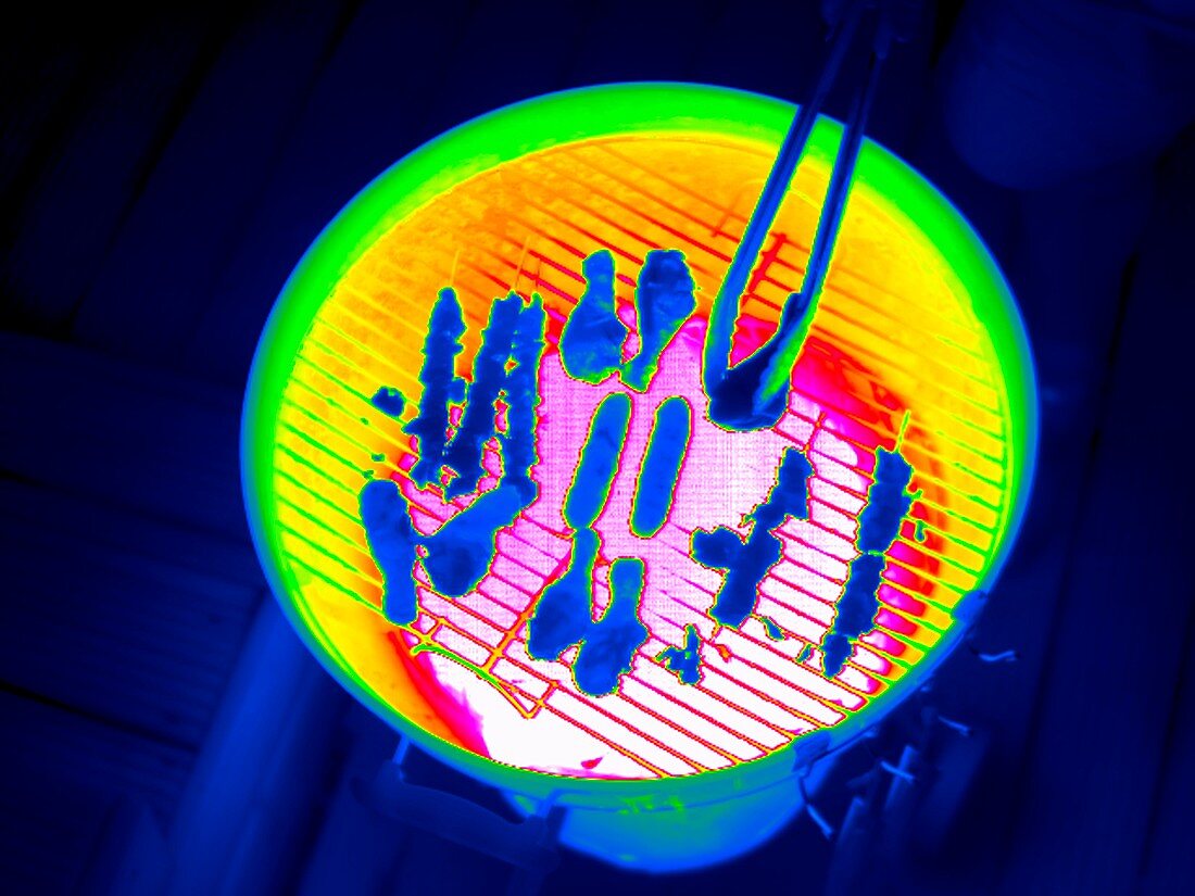 Barbeque,thermogram