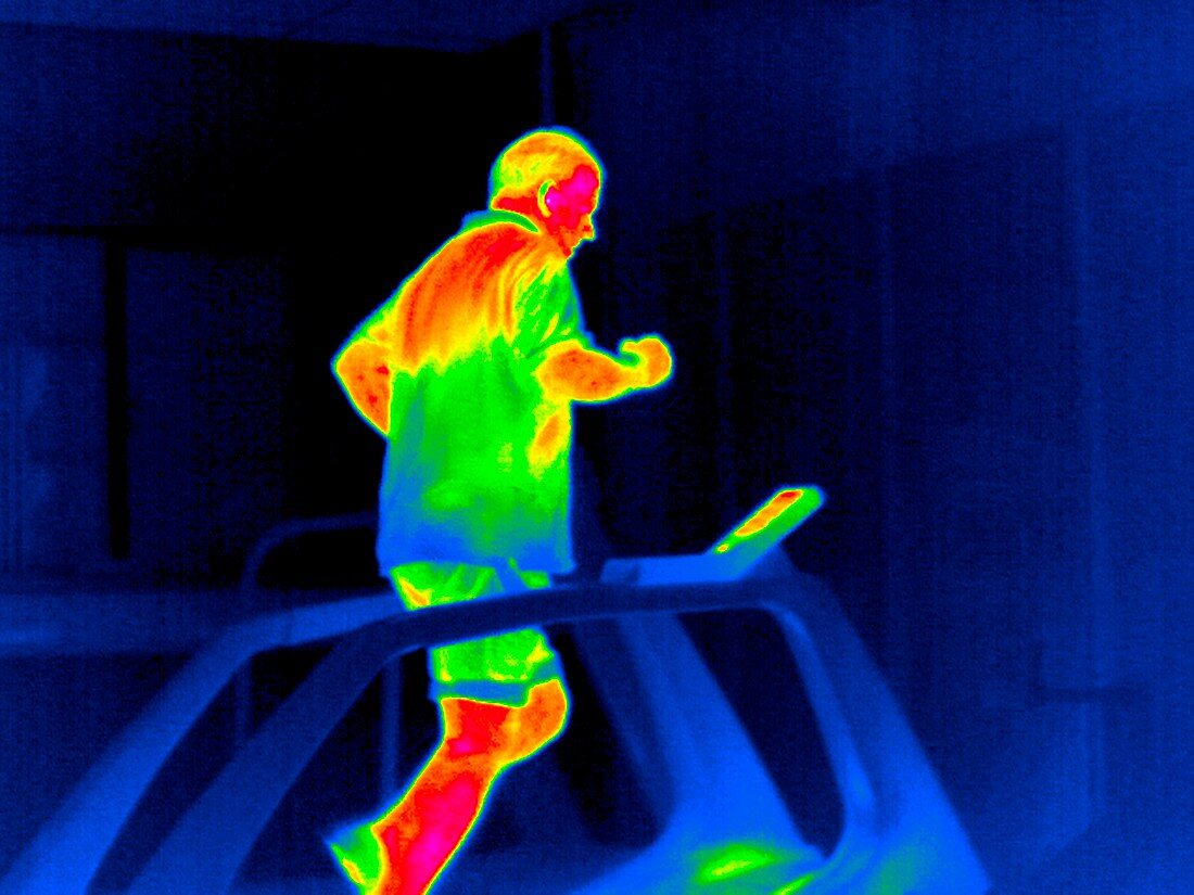 Treadmill exercise,thermogram