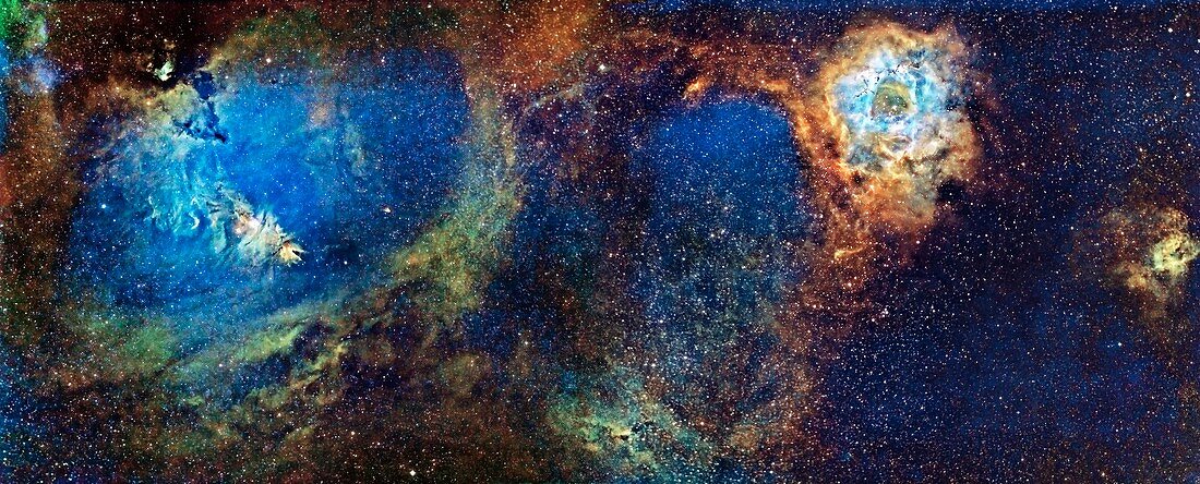 Cone and rosette nebulae