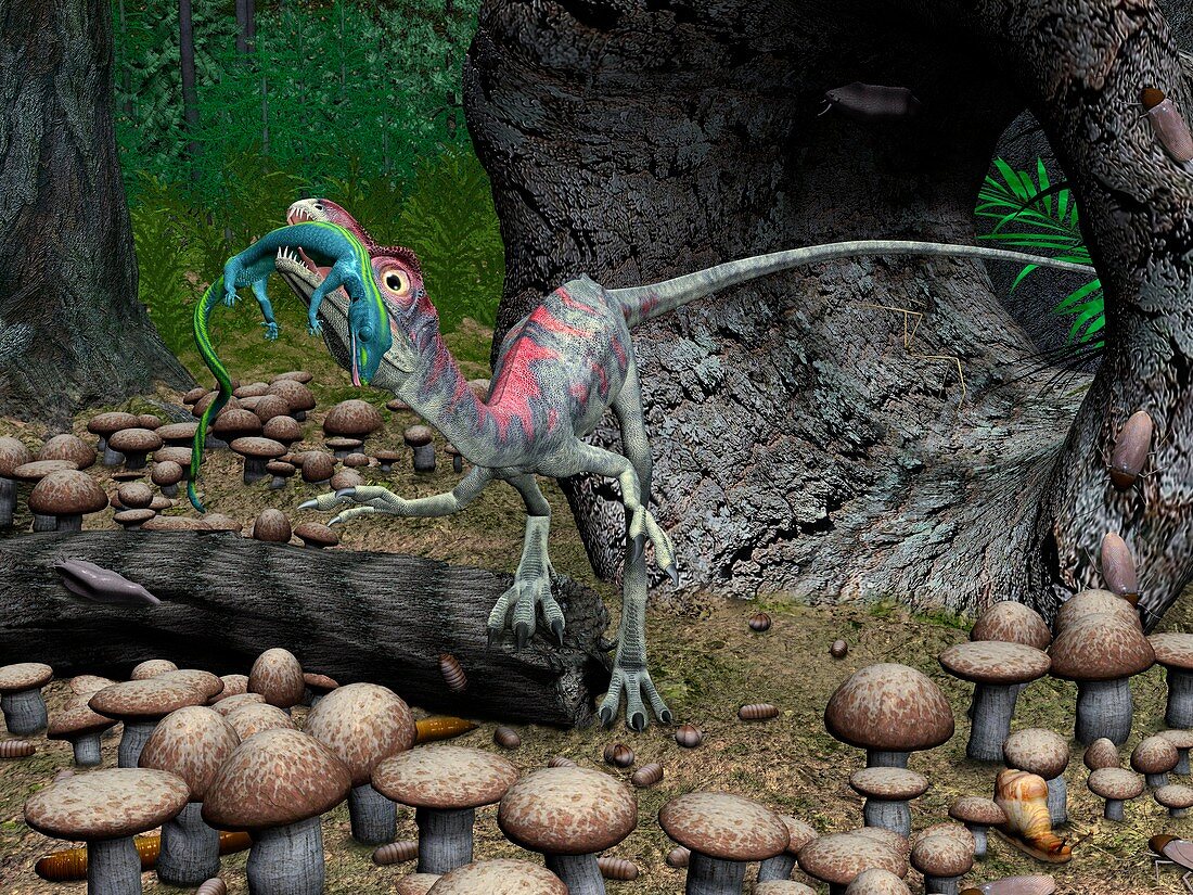 Compsognathus dinosaur,artwork