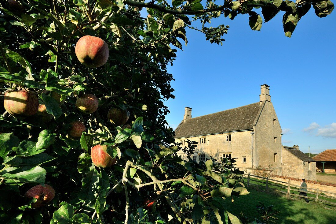 Woolsthorpe Manor,birthplace of Newton