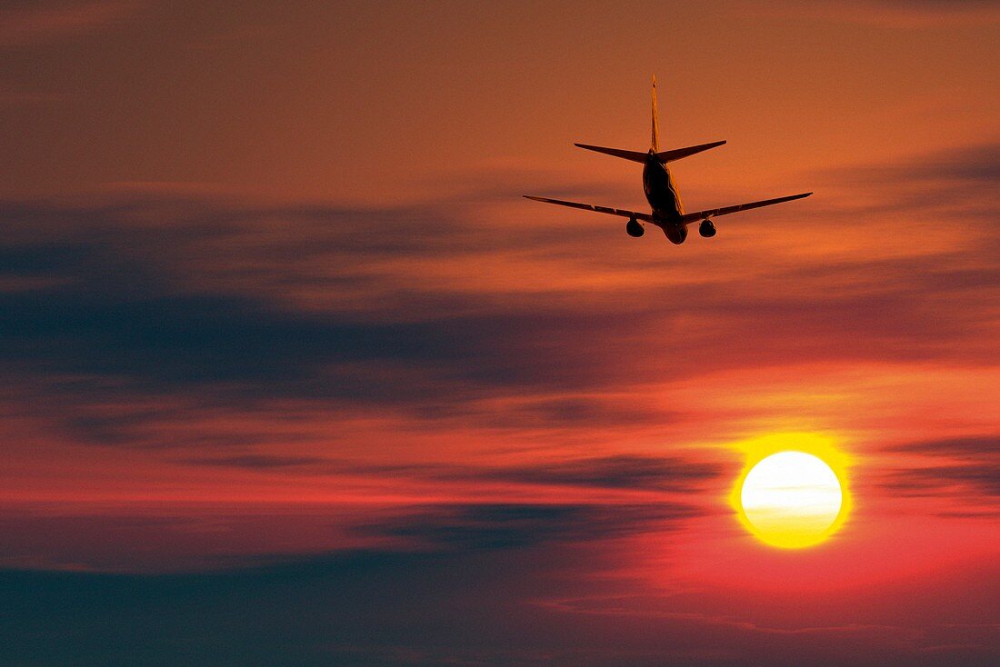 Boeing 737 ascending at sunset,artwork
