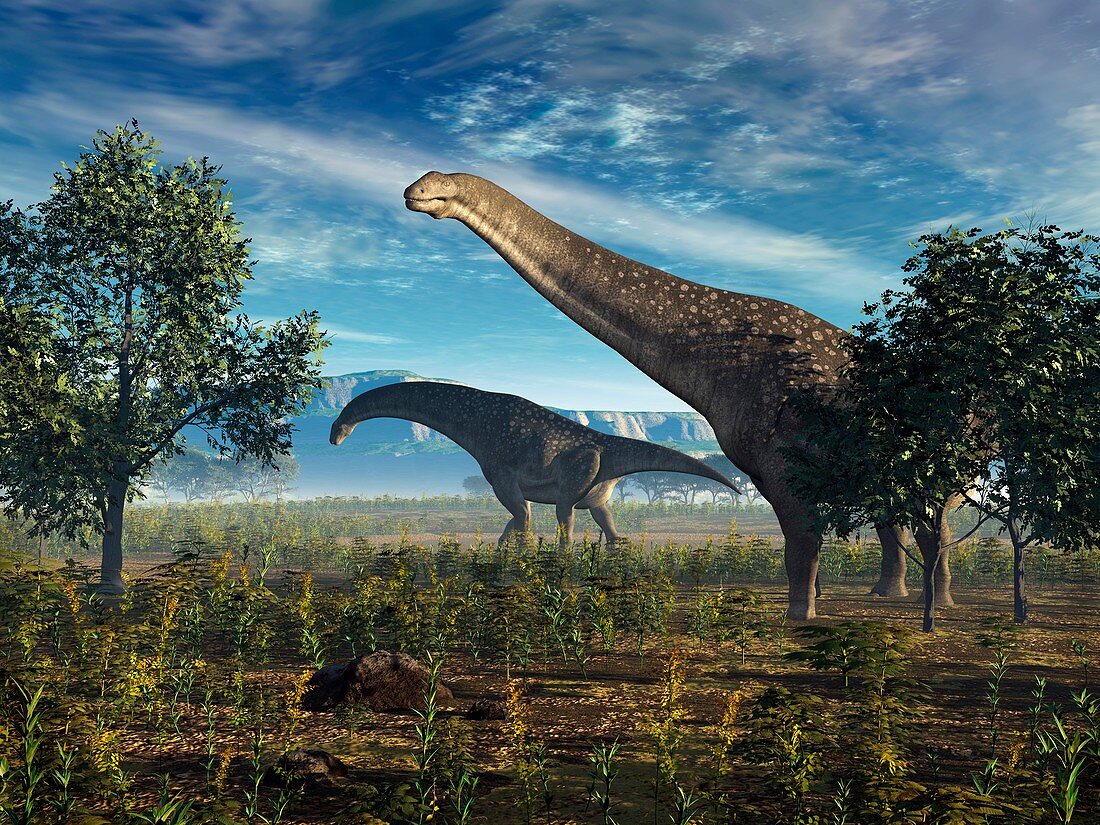Isisaurus dinosaurs,artwork
