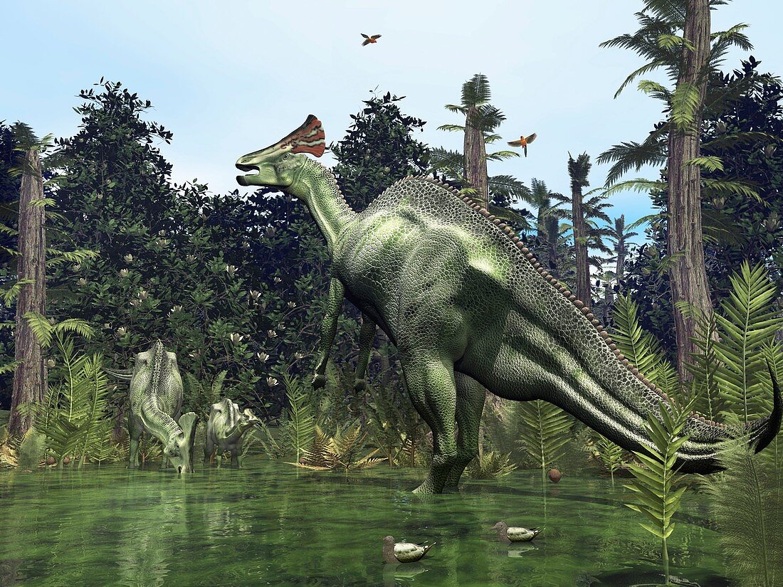 Lambeosaurus,artwork