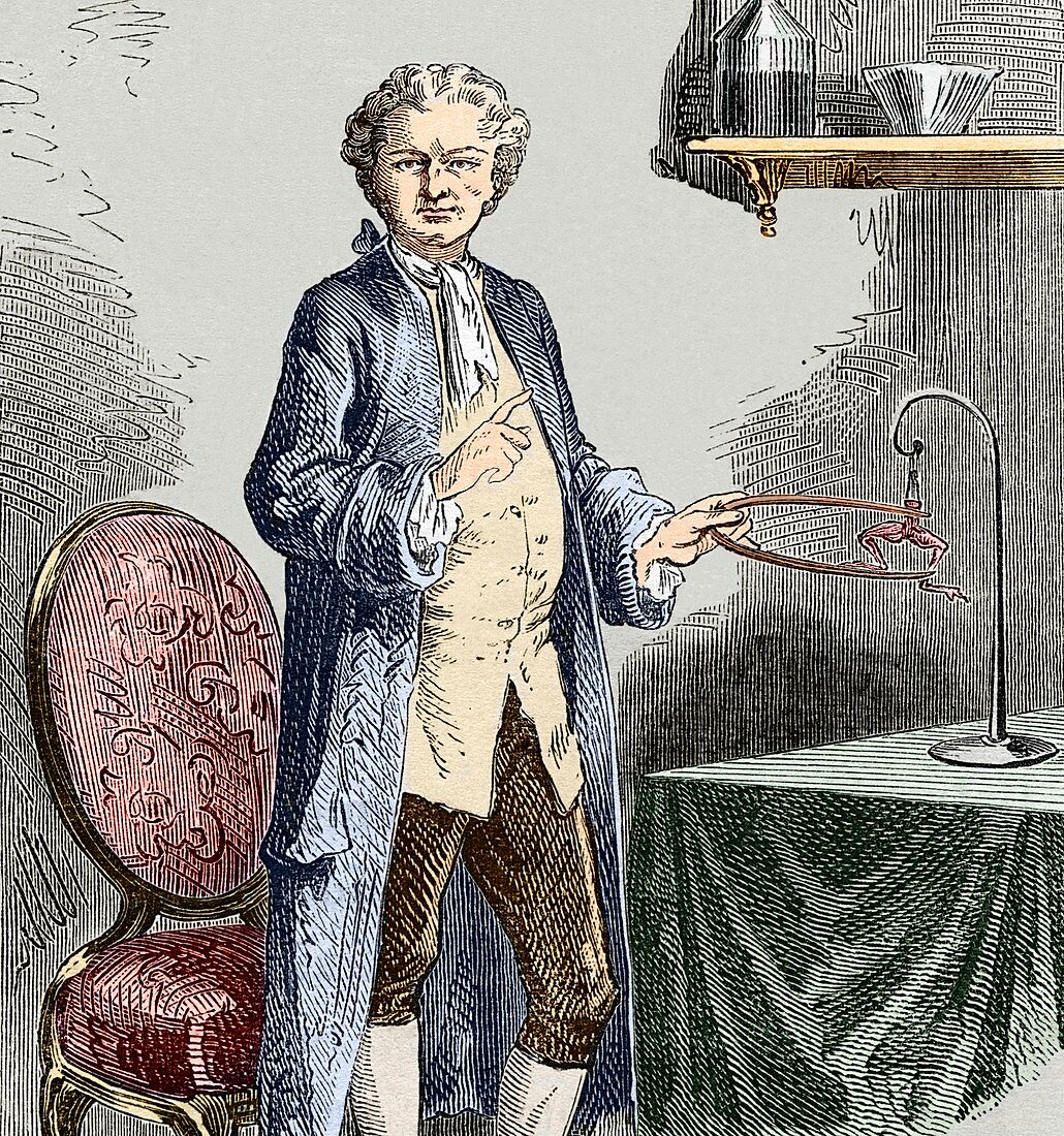 Galvani experimenting on frogs