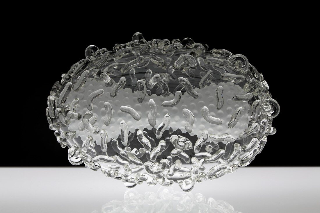 Smallpox virus,glass sculpture