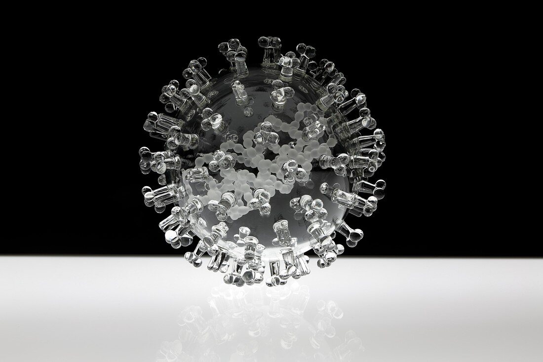 Swine flu virus,glass sculpture