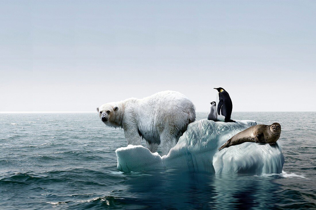 Global warming,conceptual image