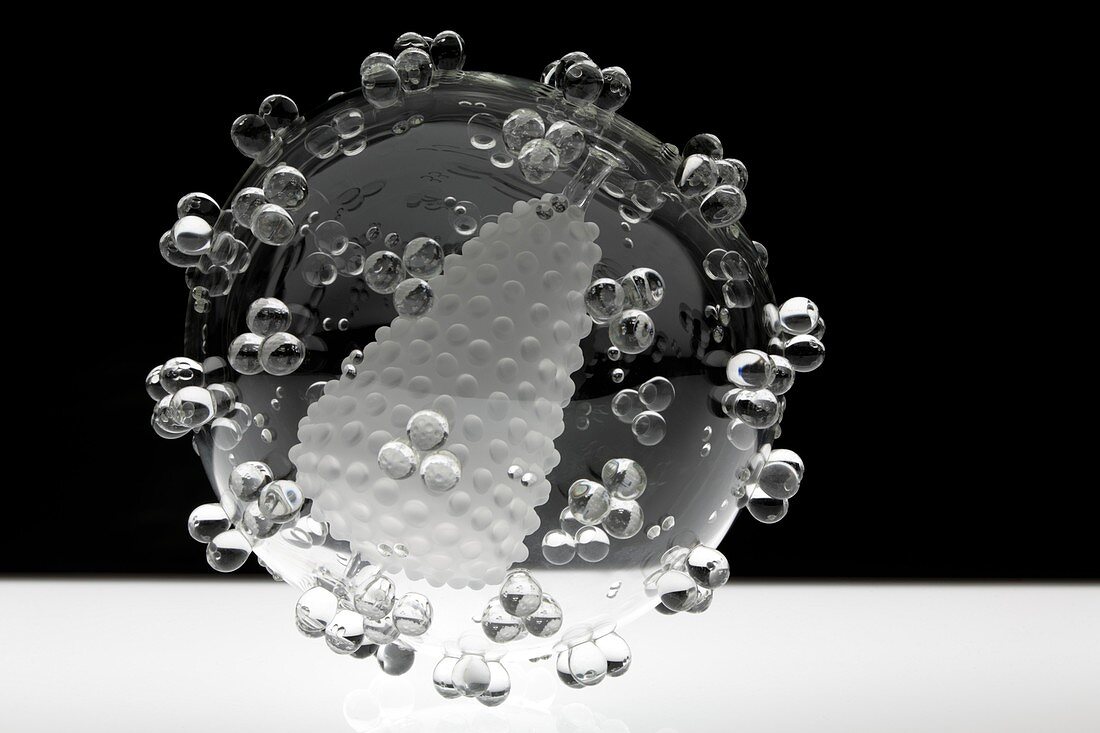 HIV,glass sculpture