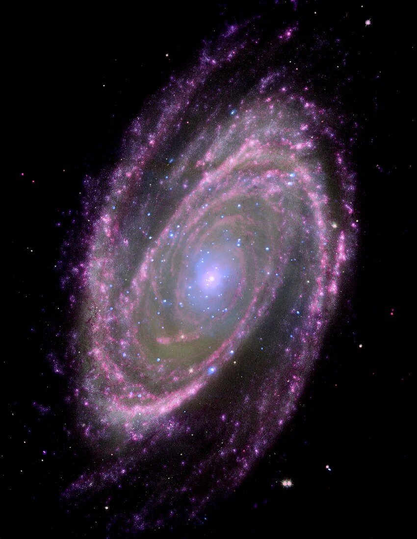 Spiral galaxy M81,composite image