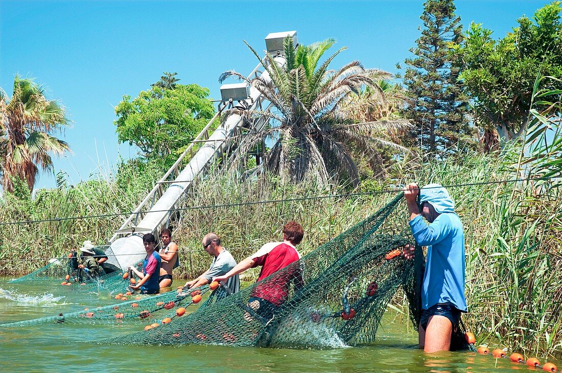 Fishery,Israel