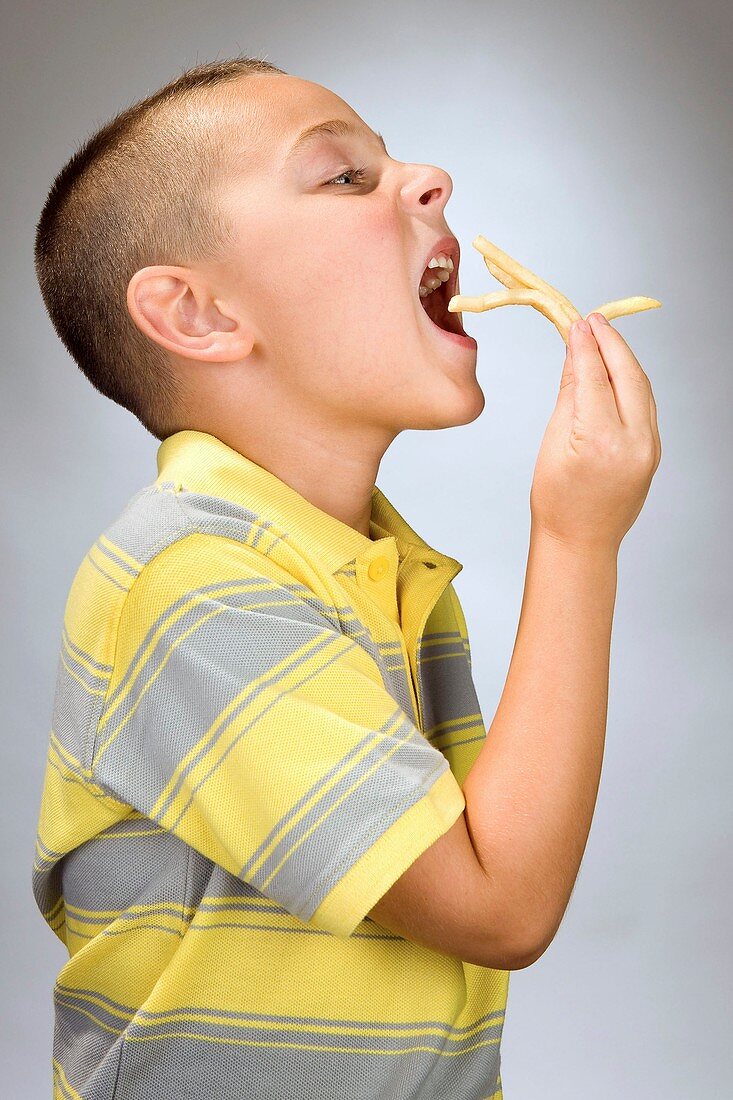 Boy eating french fries