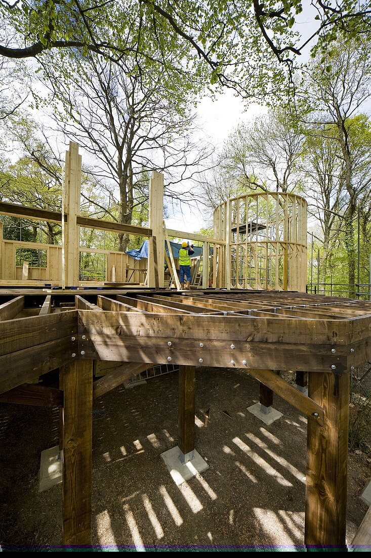 Treehouse Study Centre being constructed