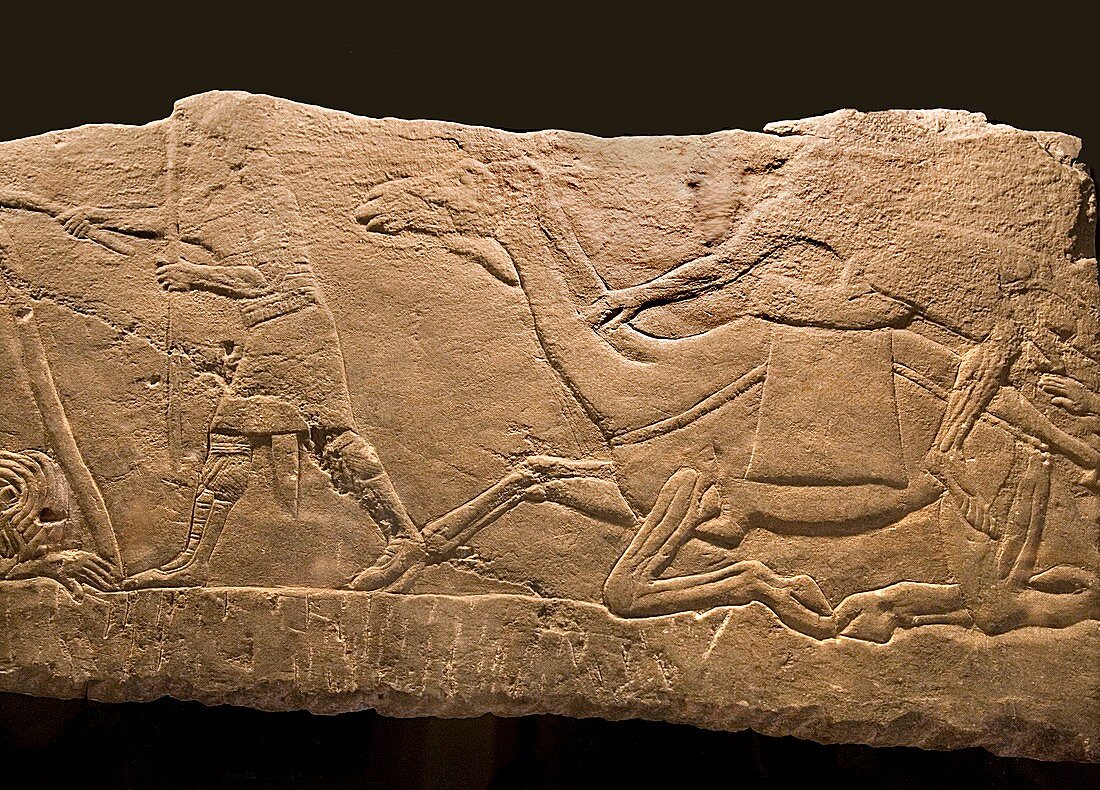 Assyrian Relief