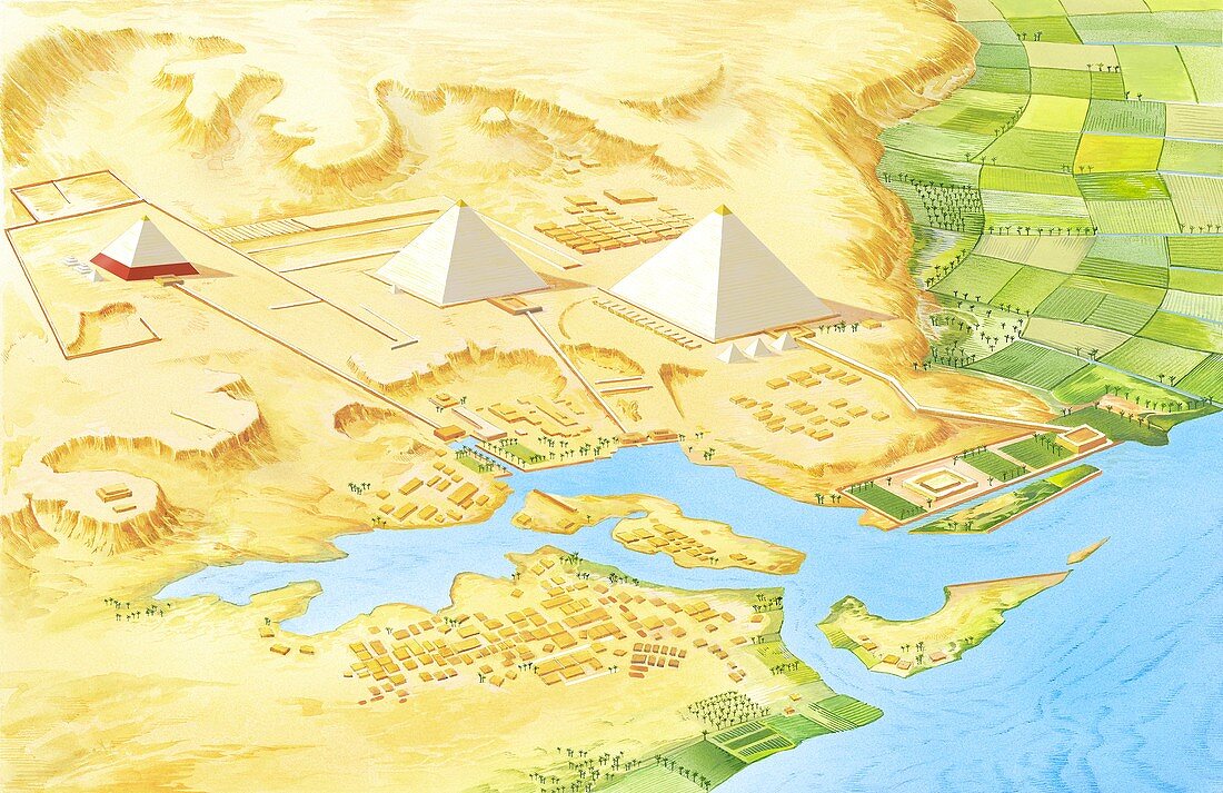 Giza pyramids,artwork