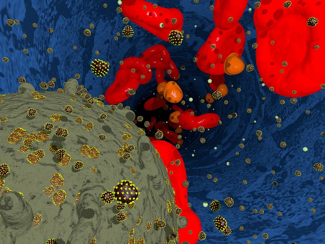 HIV in bloodstream,computer artwork