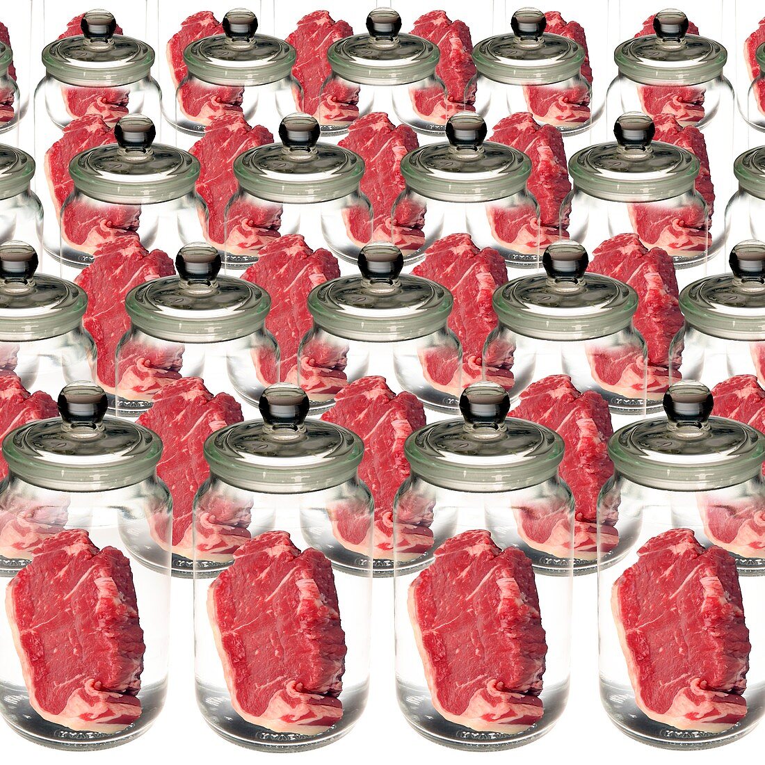 Artificial meat,conceptual image