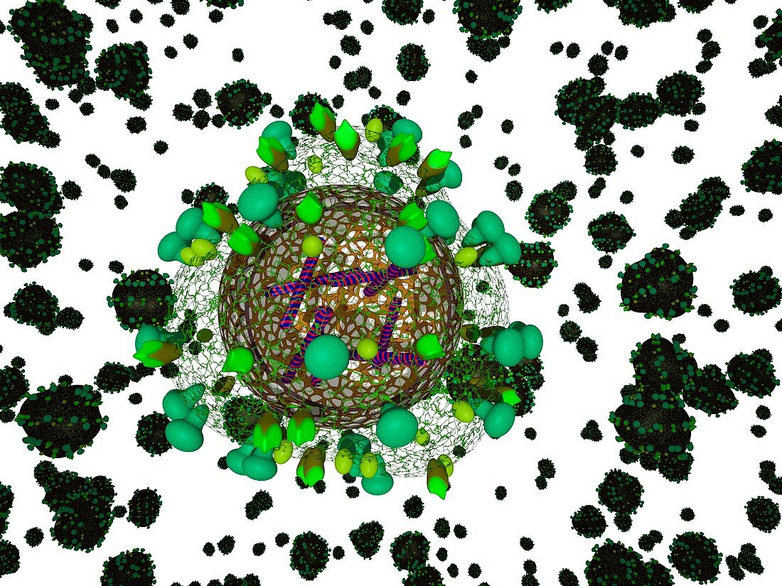 Flu virus particles,artwork
