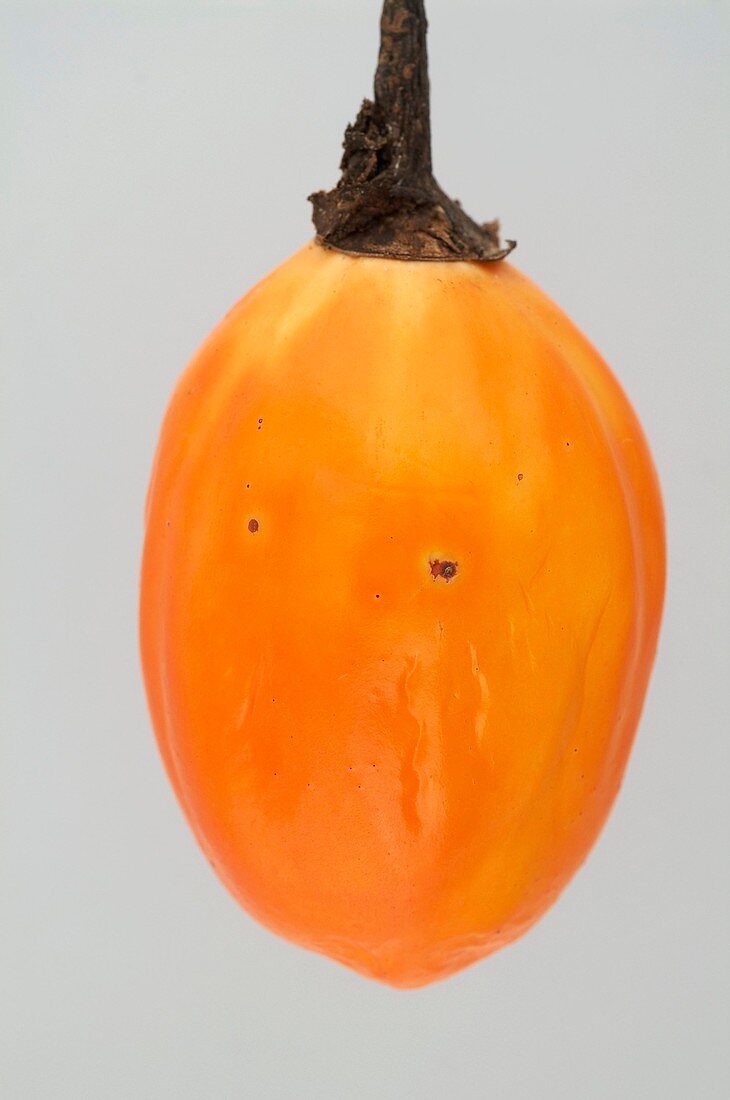 Pepper spot on an orange aubergine