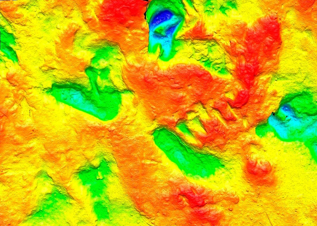 Homo erectus footprints,3D laser scan