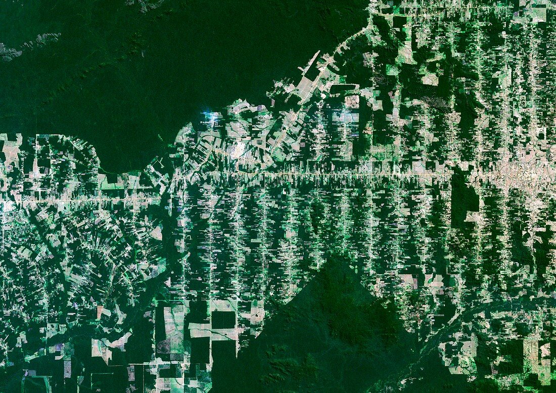 Deforestation in the Amazon,2000