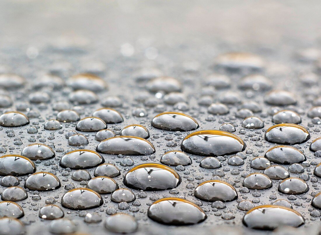 Water drops on a rubber surface