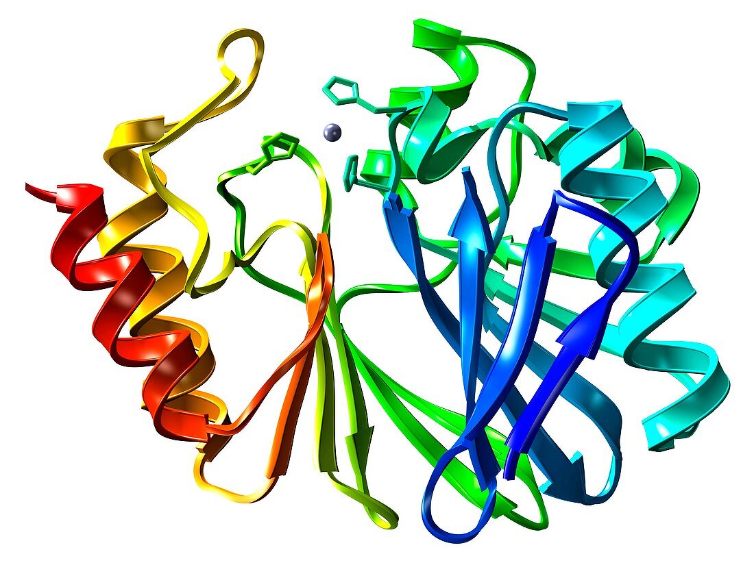 Antibiotic resistance enzyme molecule