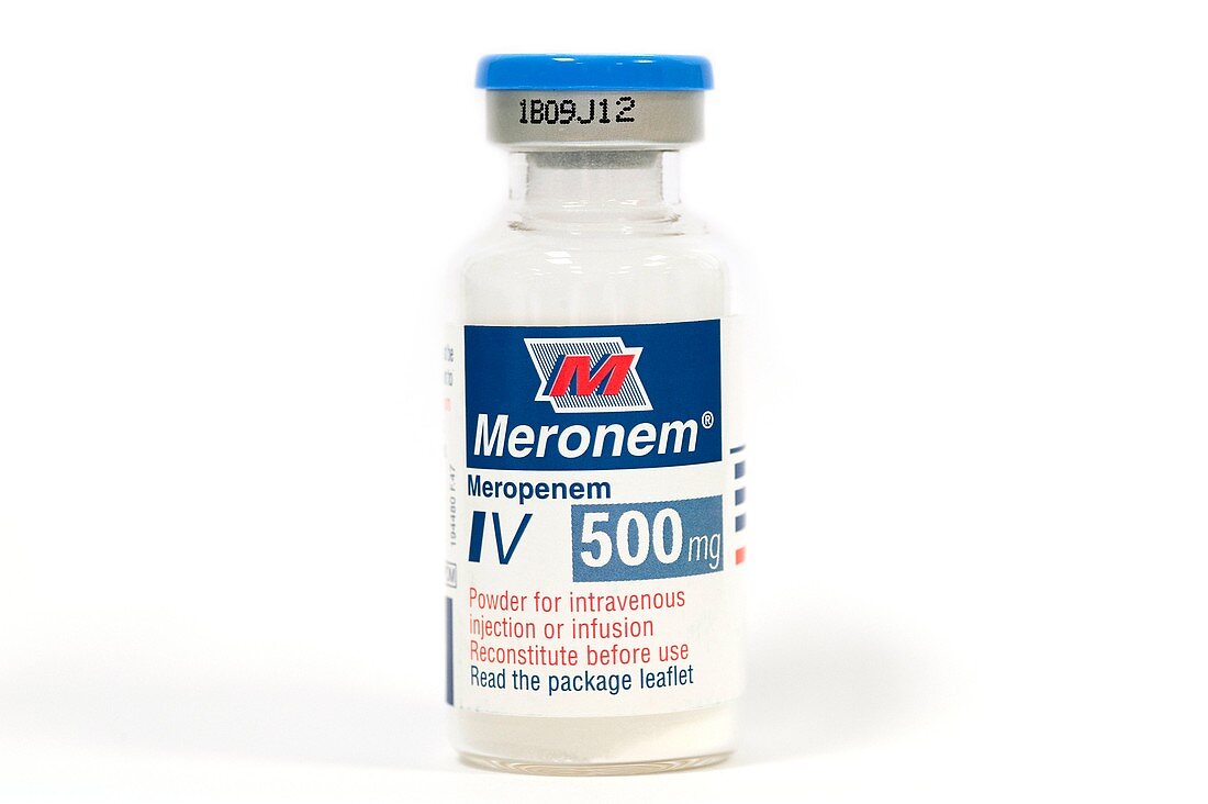 Meropenem antibiotic drug