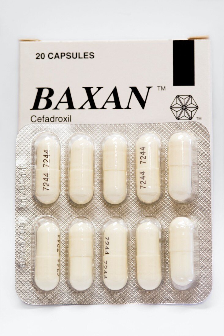 Cefadroxil antibiotic drug
