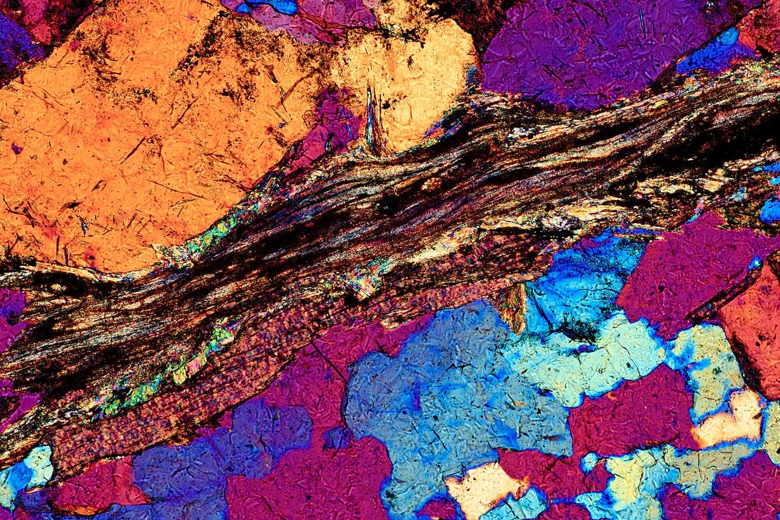 Gneiss,thin section,polarised LM