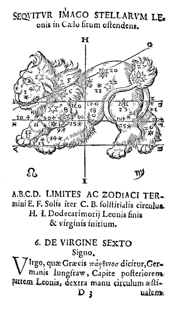 Constellation of Leo,1587 artwork