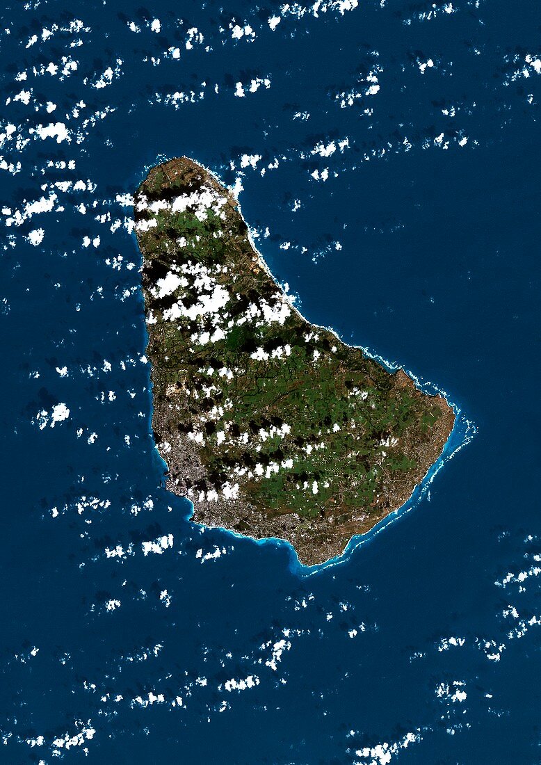 Barbados,Caribbean,satellite image